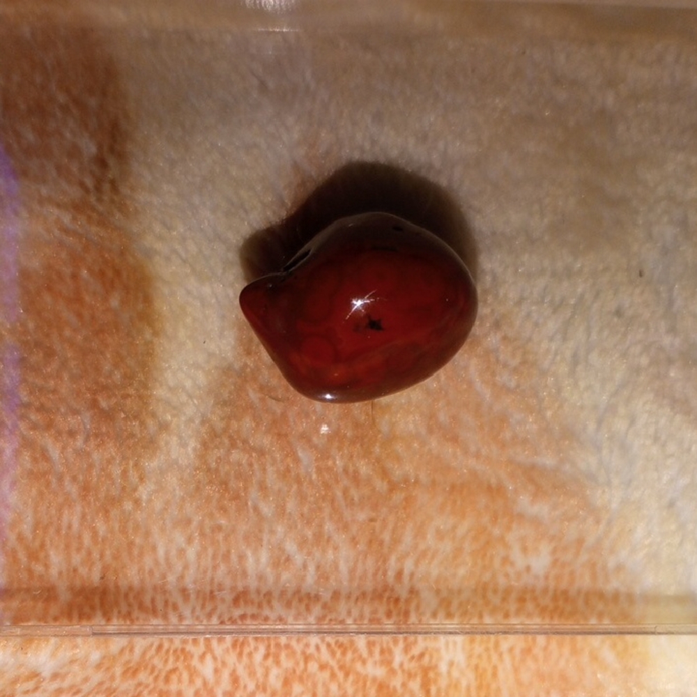 Red Polished Stone. Red Jasper.